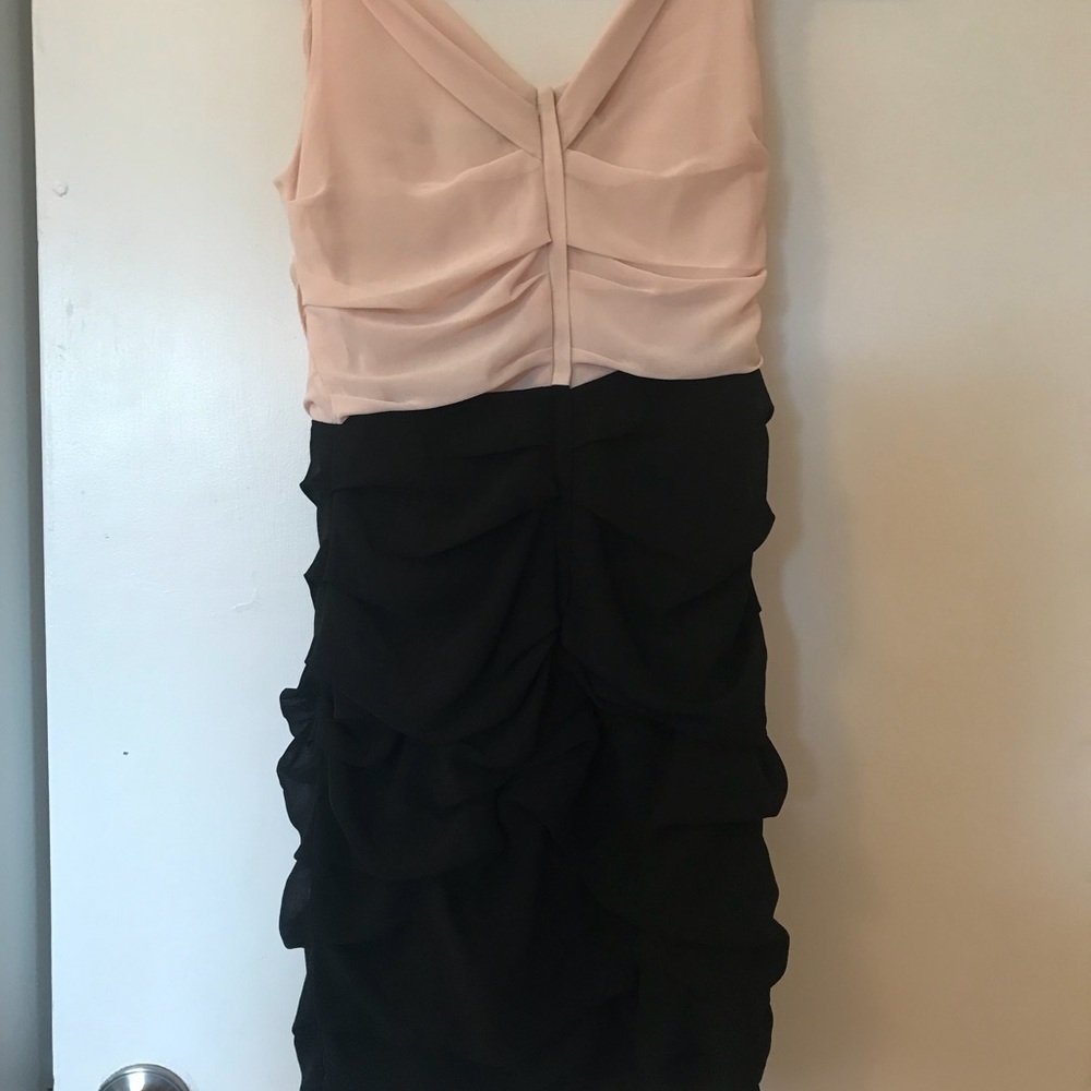 Express Dress - Picture 3 of 3